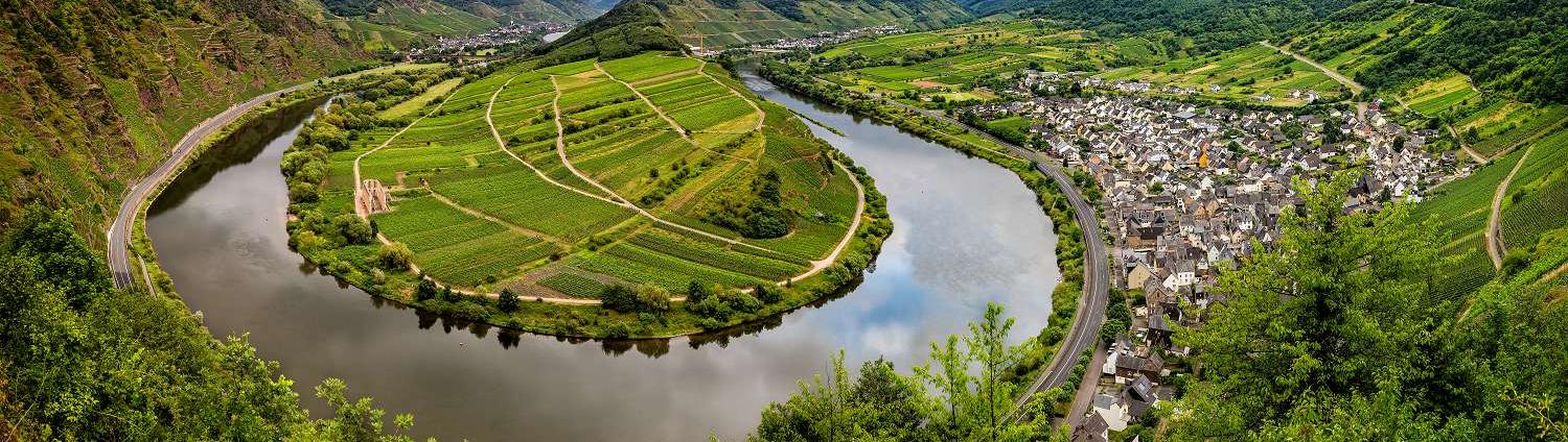 Blick über die Mosel von oben