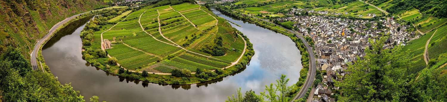 Blick über die Mosel von oben