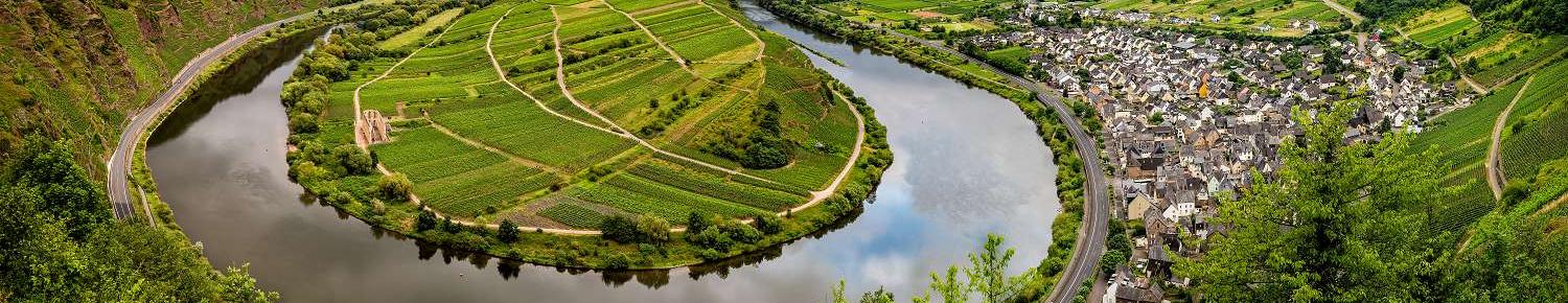 Blick über die Mosel von oben