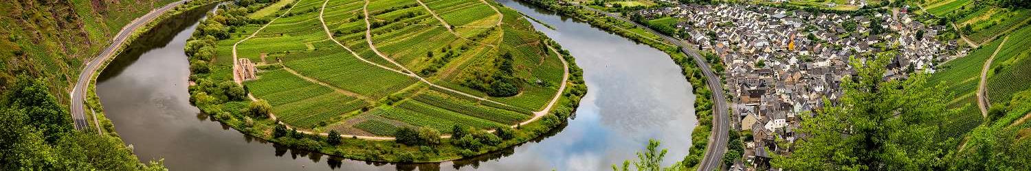 Blick über die Mosel von oben