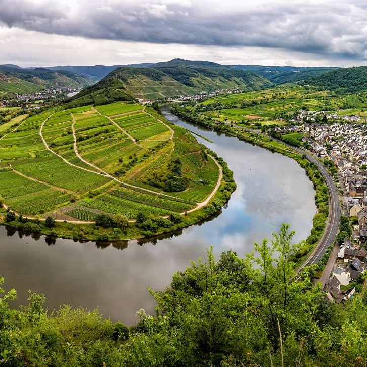 Blick über die Mosel von oben