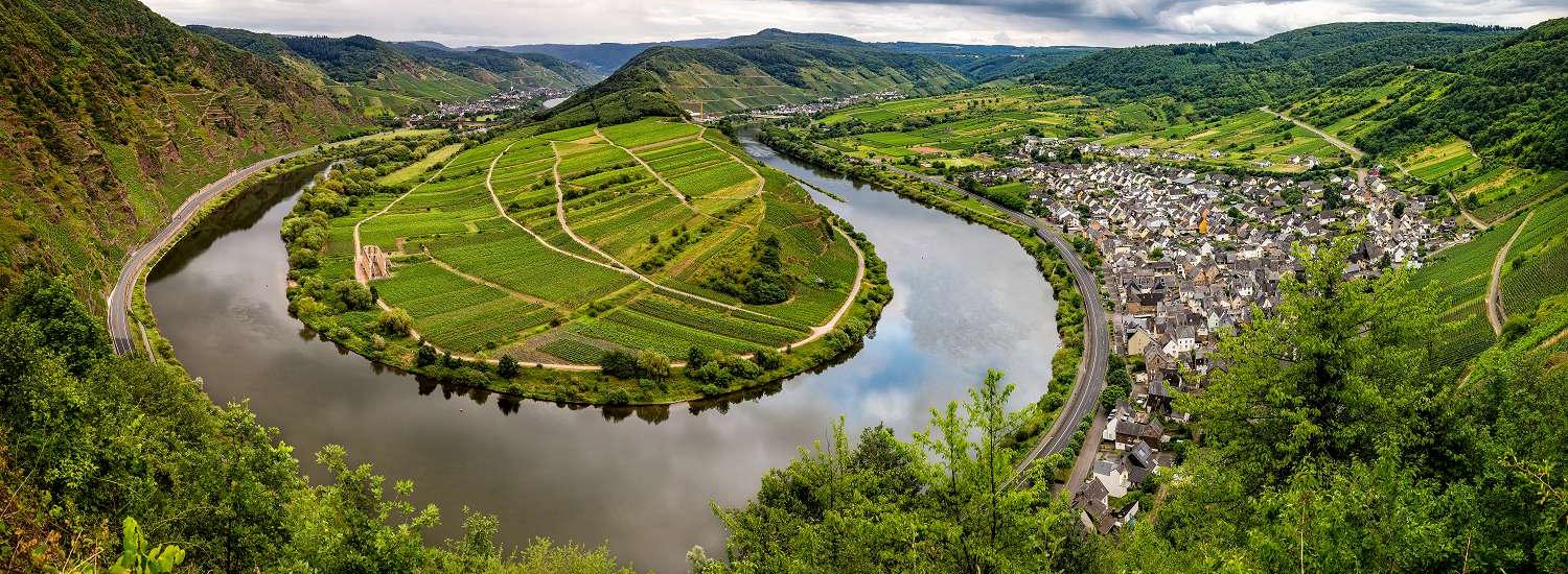 Blick über die Mosel von oben